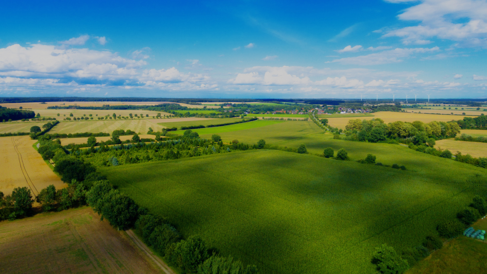 Chuanghexing Agriculture