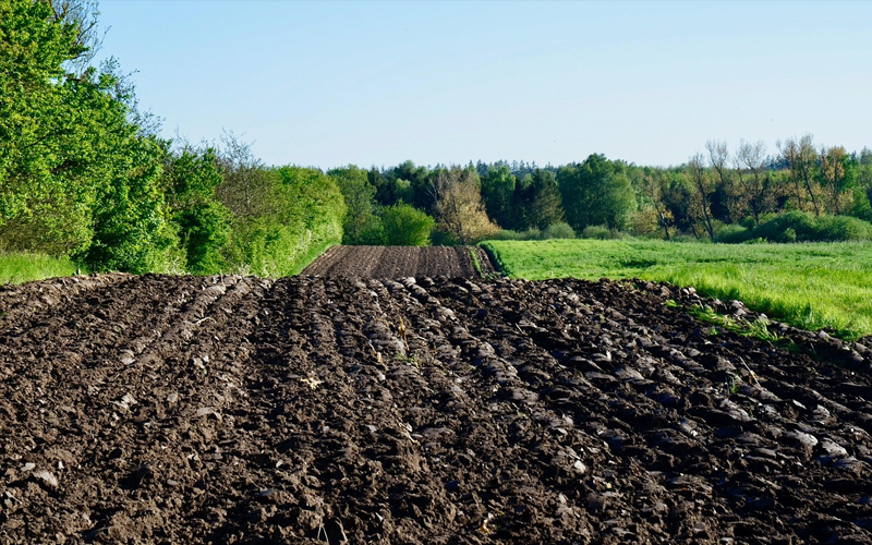 Auxiliary Functions of Coking-Grade Ammonium Sulfate Granule